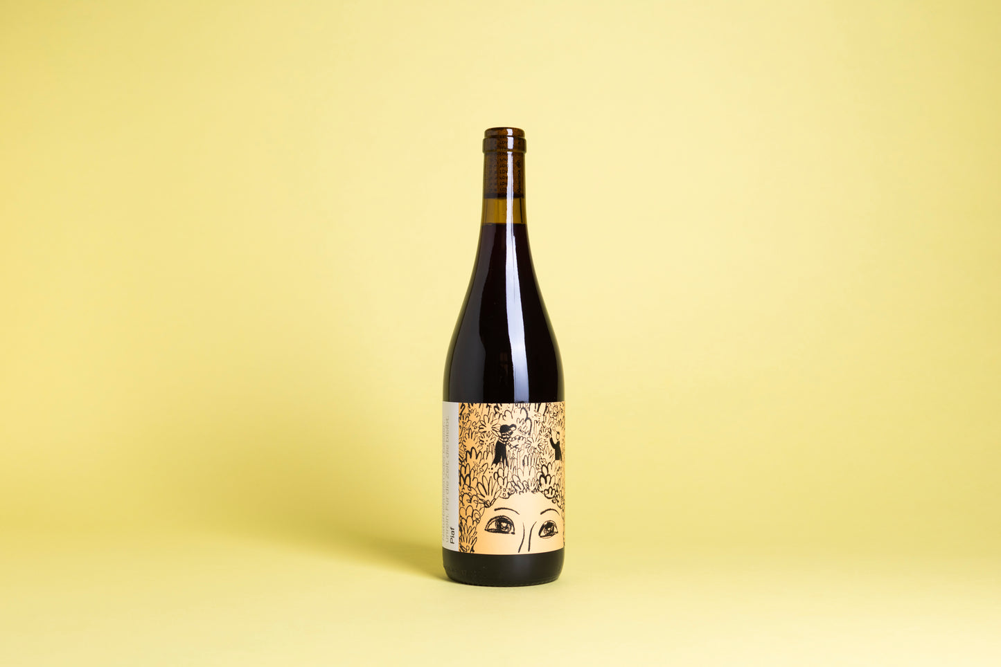 Sixpack of Love 2024